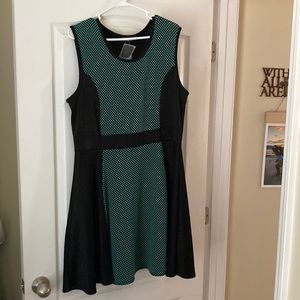 Cute dress. NWT.